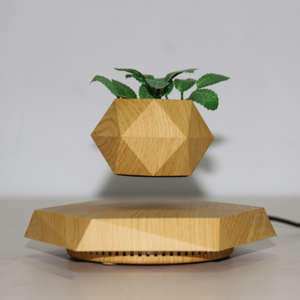 Magnetic Floating Levitating Flower Pot