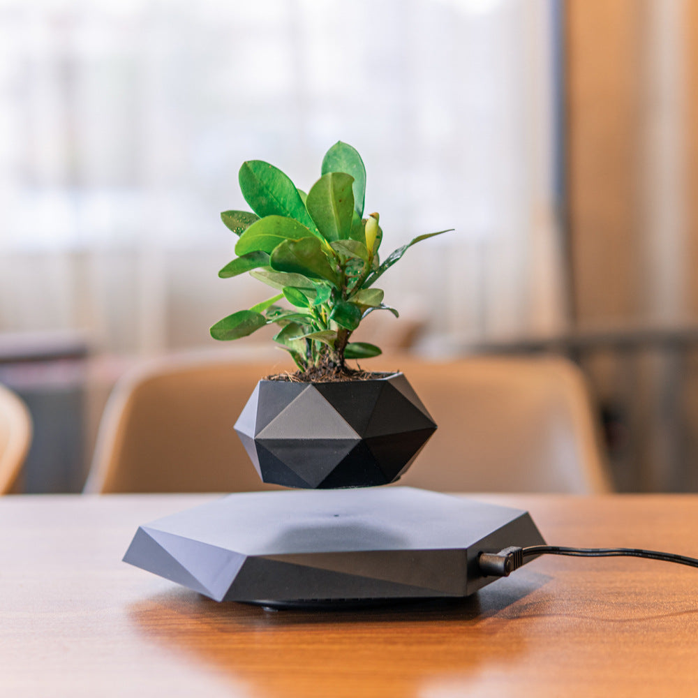 Magnetic Floating Levitating Flower Pot