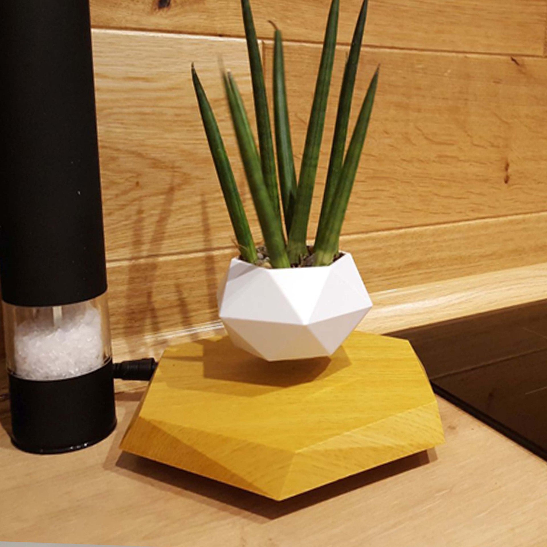 Magnetic Floating Levitating Flower Pot