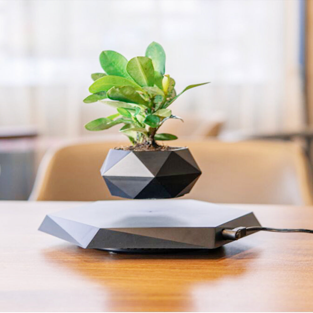 Magnetic Floating Levitating Flower Pot
