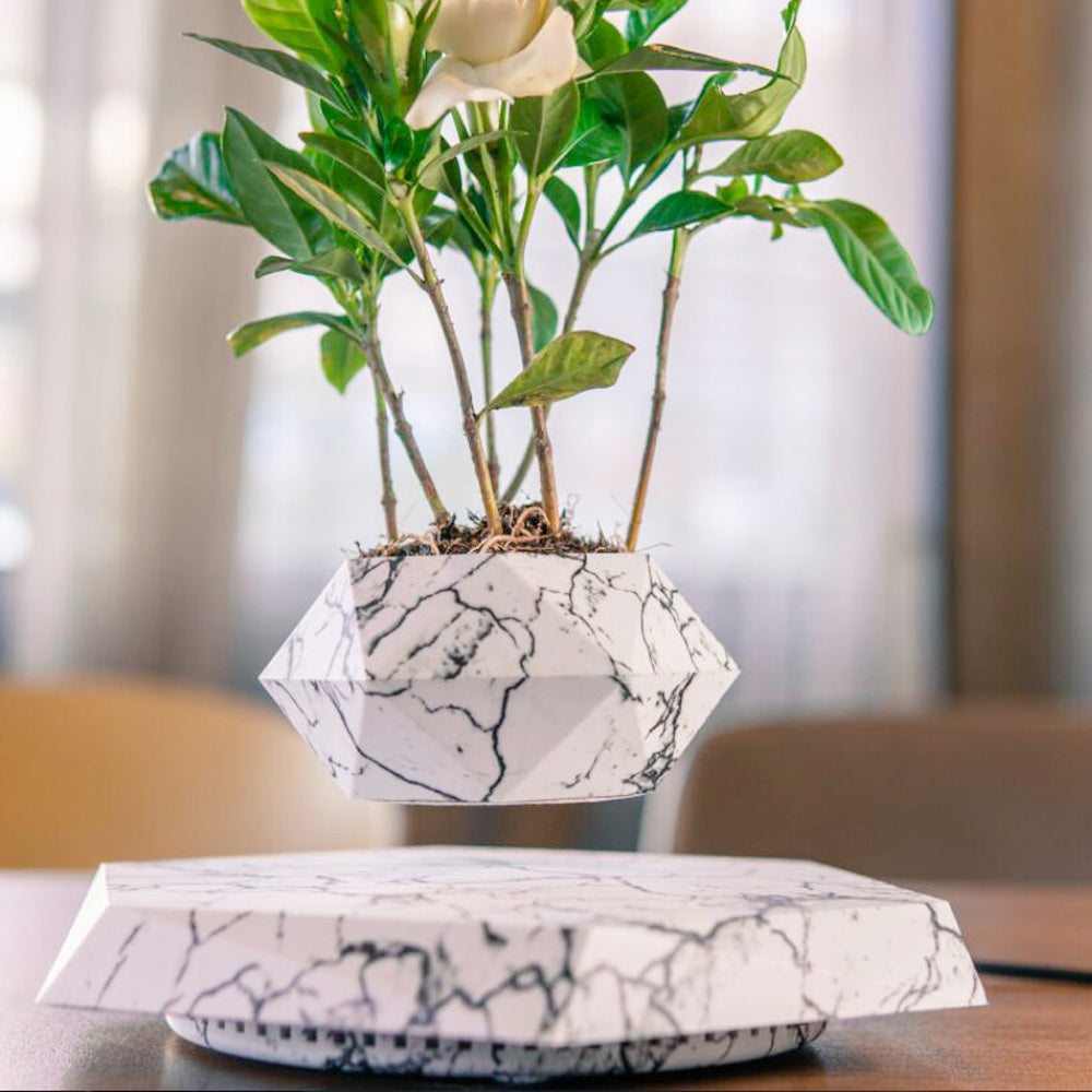 Magnetic Floating Levitating Flower Pot