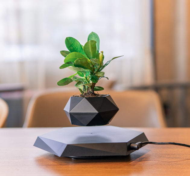 Magnetic Floating Levitating Flower Pot
