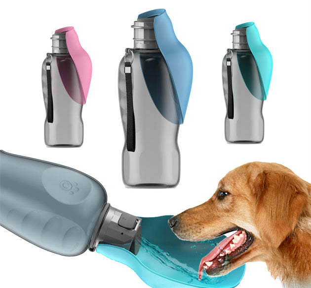 800ml Portable Water Bottle